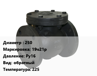Клапан чугунный 250 19ч21р Ру16 обратный 225, вода, пар, шт цена от 12038 Р / шт, где купить, условия доставки в Минске и Минской области
